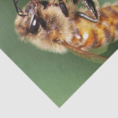 Falln Fuzzy Little Bee Tissuepapier (Detail)
