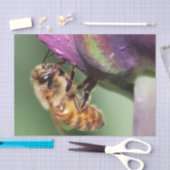 Falln Fuzzy Little Bee Tissuepapier (Craft)