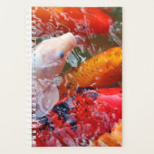 Falln Gathering Koi (Devant)