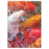 Falln Gathering Koi Klembord (Achterkant)