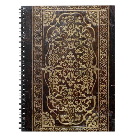 Falln Gilded Leather Tome Book Notitieboek (Voorkant)