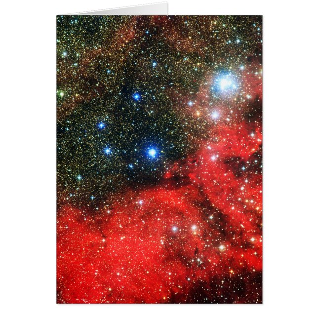 Falln Gold Dusted Galaxy (Voorkant)