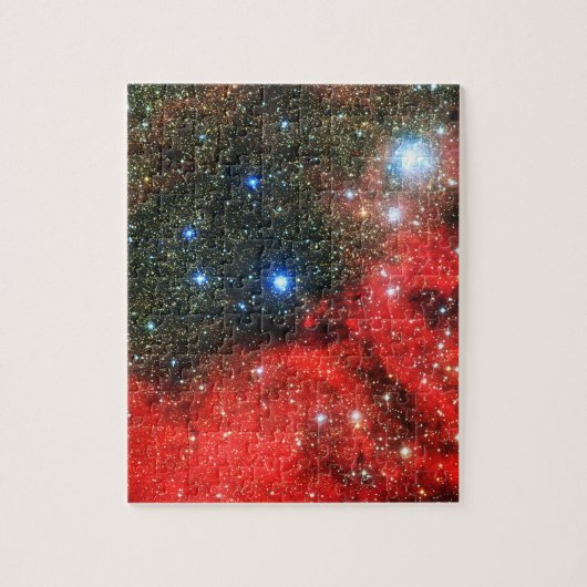 Falln Gold Dusted Galaxy Legpuzzel (Verticaal)