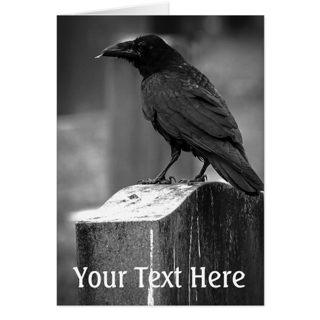 Falln heeft een doether gevonden (Voorkant)