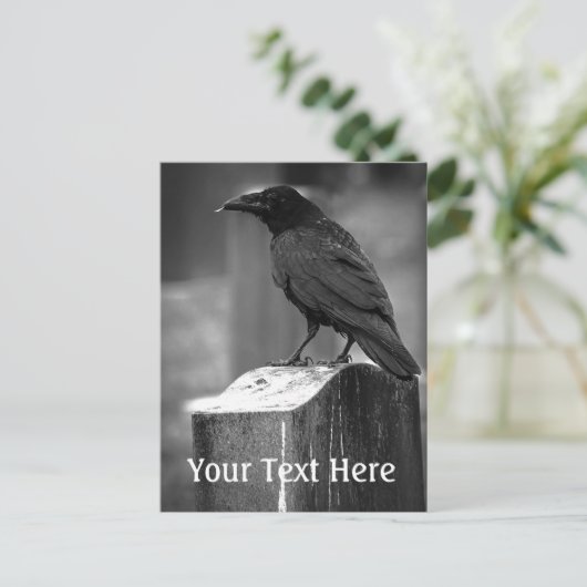 Falln heeft een doether gevonden briefkaart (Staand voorkant)