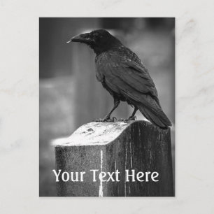 Falln heeft een doether gevonden briefkaart