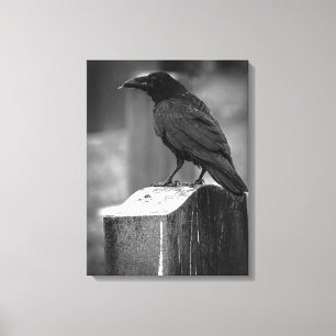 Falln heeft een doether gevonden canvas afdruk