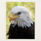 Falln Liberty (Devant)