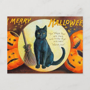 Falln Merry Halloween Cat Briefkaart