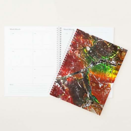 Falln Piedras Arcoiris Planner (Display)