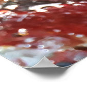 Falln Piedras Arcoiris Poster (Hoek)