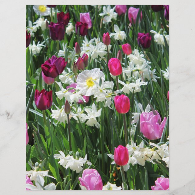 Falln Romantic Spring Morning (Voorkant)