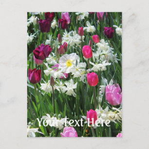 Falln Romantic Spring Morning Briefkaart