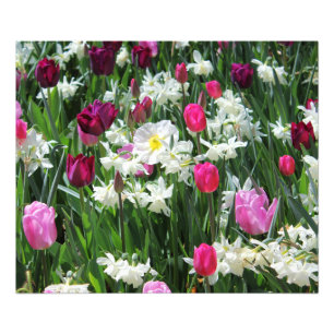 Falln Romantic Spring Morning Foto Afdruk