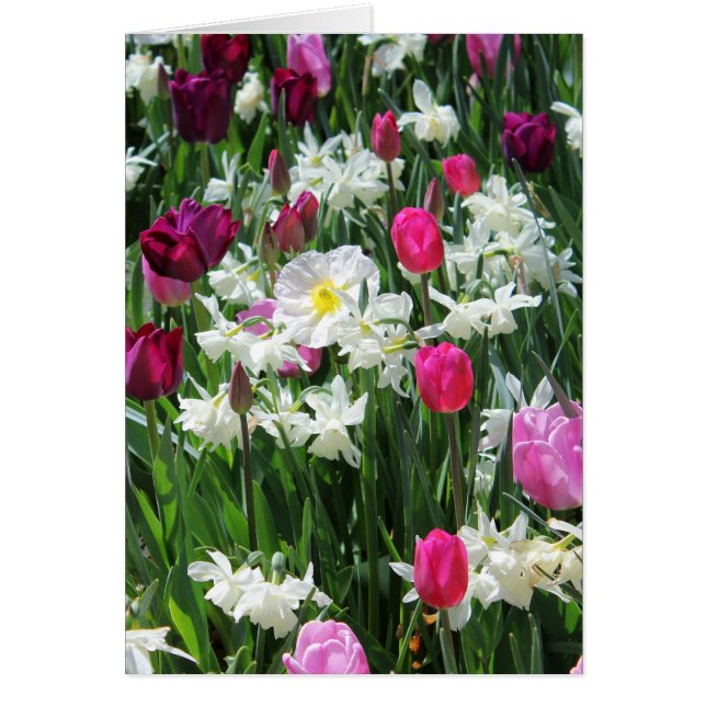 Falln Romantique Printemps matin (Devant)