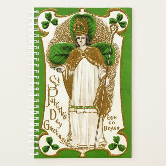 Falln Saint Patrick (Devant)