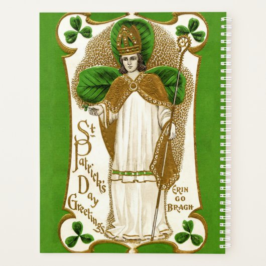 Falln Saint Patrick (Dos)