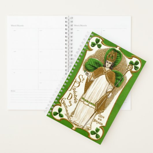 Falln Saint Patrick Planner (Display)