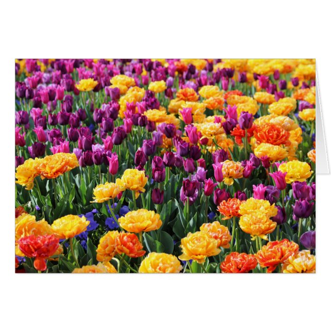 Falln Sunset Floral (Voorkant Horizontaal)