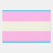 Falln Transgender Pride Flag Inpakpapier Vel (Voorkant 2)