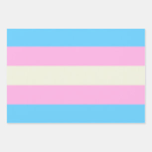 Falln Transgender Pride Flag Inpakpapier Vel