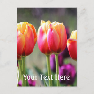 Falln Tulips Aflame Briefkaart