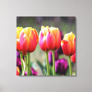 Falln Tulips Aflame Canvas Afdruk