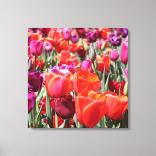 Falln Warm Tulips Canvas Afdruk