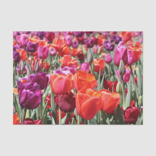 Falln Warm Tulips Tissuepapier (Voorkant)