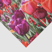 Falln Warm Tulips Tissuepapier (Detail)