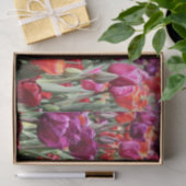 Falln Warm Tulips Tissuepapier (Geschenk)