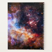 Falln Westerlund Starfield (Dos)
