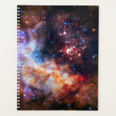 Falln Westerlund Starfield (Devant)