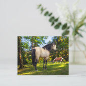 "Fallon"  Briefkaart (Staand voorkant)