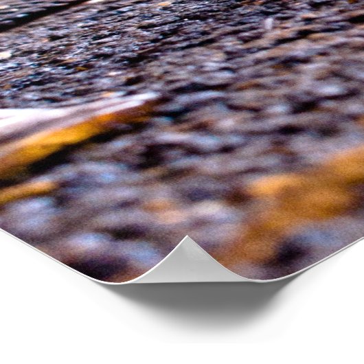 Fallout Poster (Hoek)