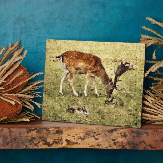 FALLOW DEER FOTOPLAAT (Zijkant)