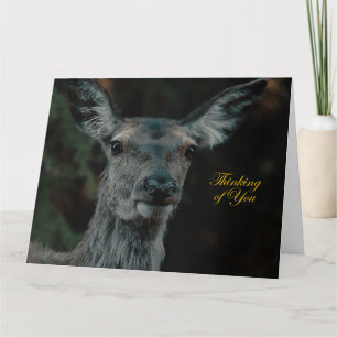 Fallow Deer Get Well-kaart Kaart