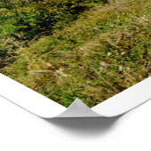 False Bay, Capetown, Zuid-Afrika Poster (Hoek)