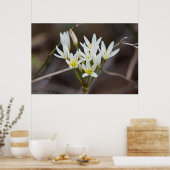 False Garlic Bouquet Wildflower Poster (Keuken)