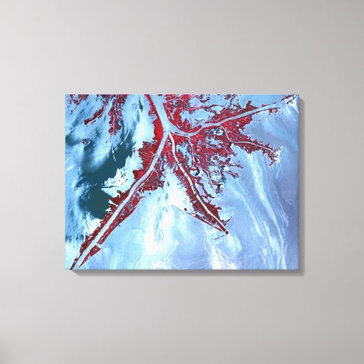 False kleurensatelliet canvas afdruk (Voorkant)