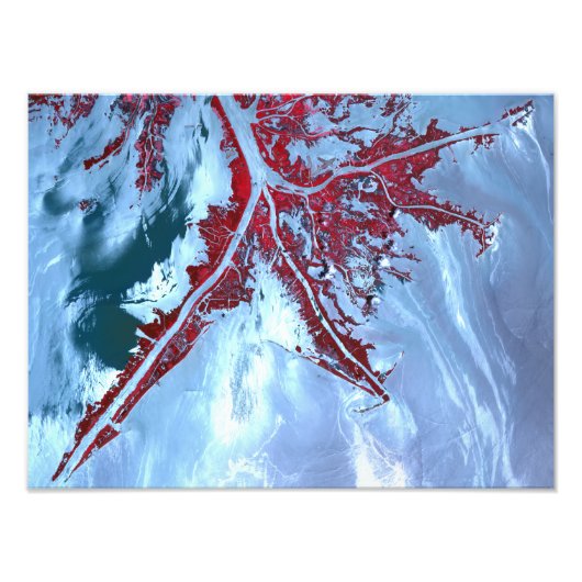 False kleurensatelliet foto afdruk (Voorkant)