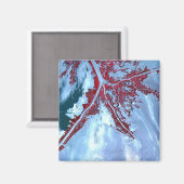 False kleurensatelliet magneet (Voorkant / Achterkant)