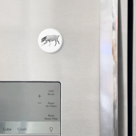 Familiar Paths Remembered Magneet (Insitu (Koelkast))