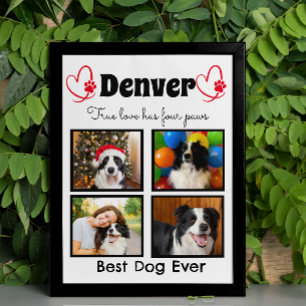 Familie 4 op foto aangepast hondencollage poster