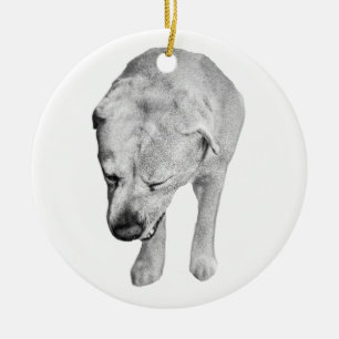 Familie-erfstuk Schaduw, Labrador Aandenken Keramisch Ornament