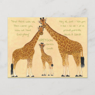 Familie Giraffe - Aankondiging geboorte