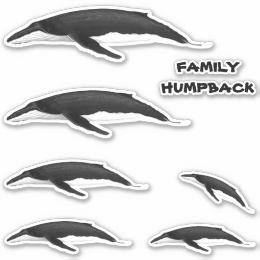 FAMILIE HUMPBACK WHALE STICKER (Voorkant)