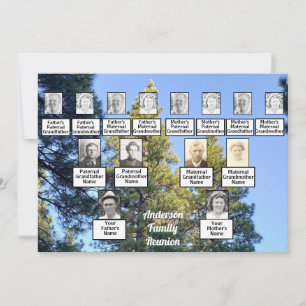 Familie reünie familie boompijn bos kaart