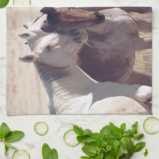 Familie Theedoek (Gevouwen)