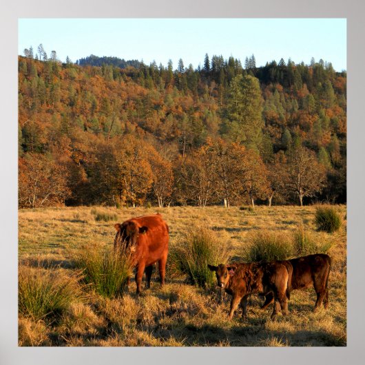 Familie tijd........ poster (Voorkant)